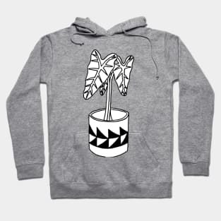 Alocasia in geometric pot Hoodie